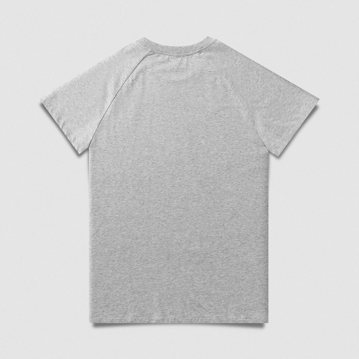 Axis Raglan Tee - Heather Gray back product view