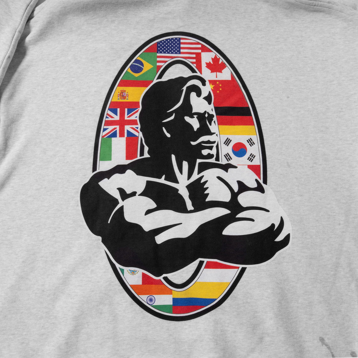 International Division Hoodie | Close up view of the large back logo of country flags and the Olympia bodybuilding International Division