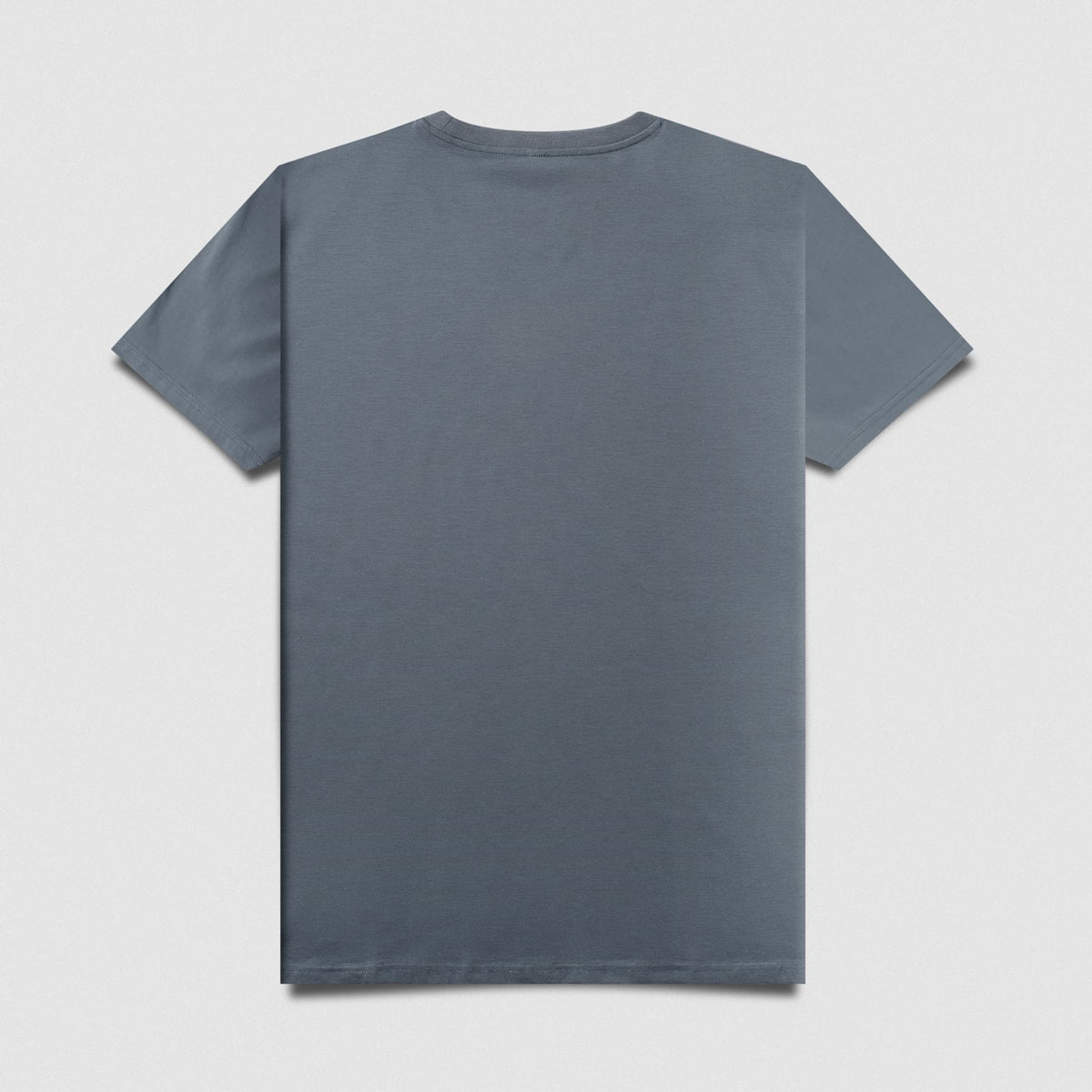 Axis Box Tee - Lake back product view
